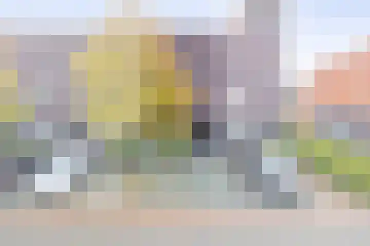 Appie Groenlaan 53 Groningen thumbnail 6