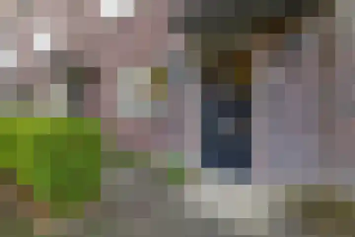 Appie Groenlaan 53 Groningen thumbnail 8