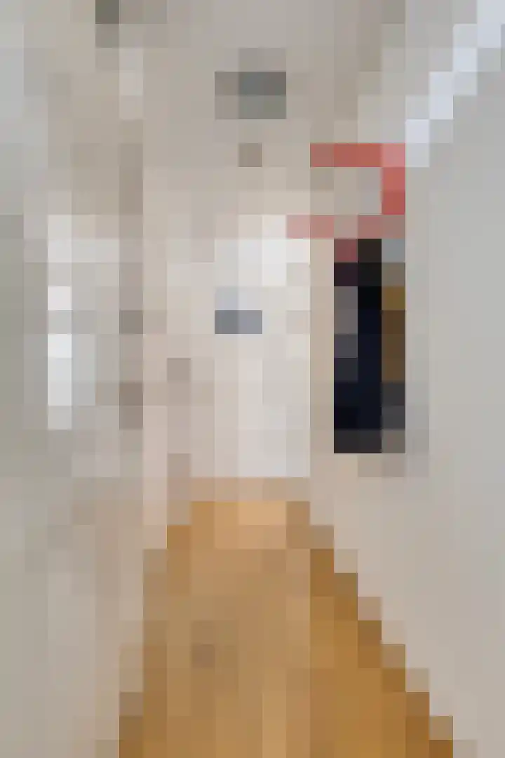Appie Groenlaan 54 Groningen thumbnail 14