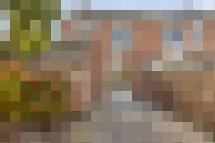 Appiushof 155 Maastricht thumbnail 20