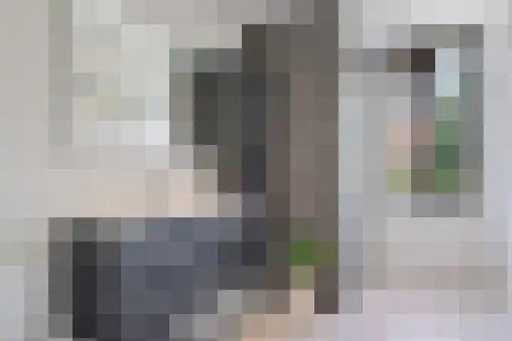 Appiushof 164 Maastricht thumbnail 18