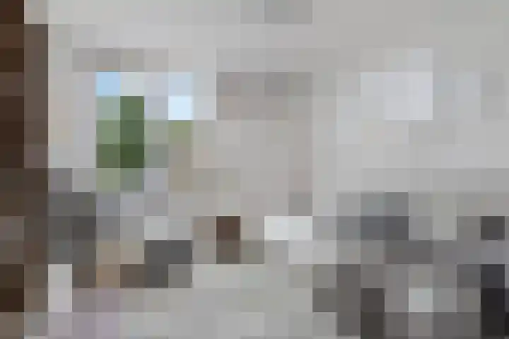 Appiushof 164 Maastricht thumbnail 20