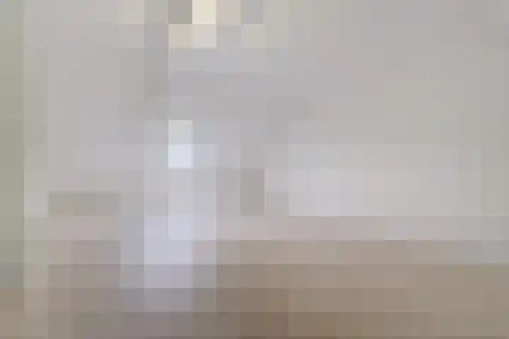 Appiushof 164 Maastricht thumbnail 22