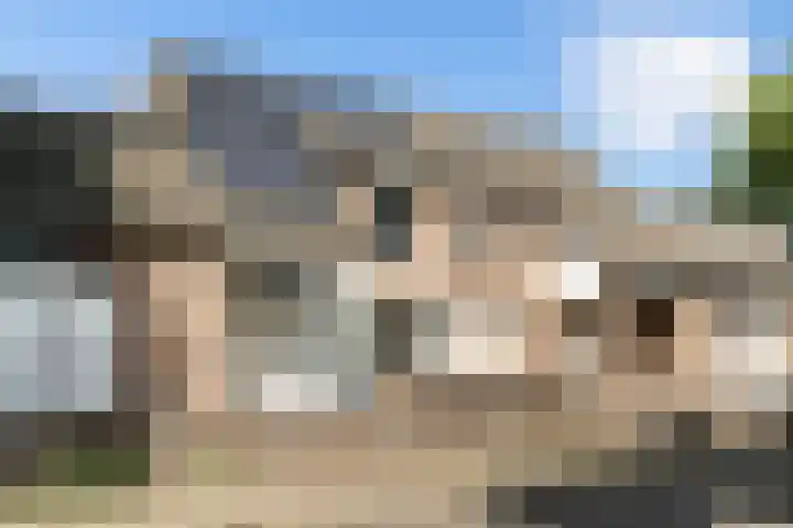 Appiushof 164 Maastricht thumbnail 5