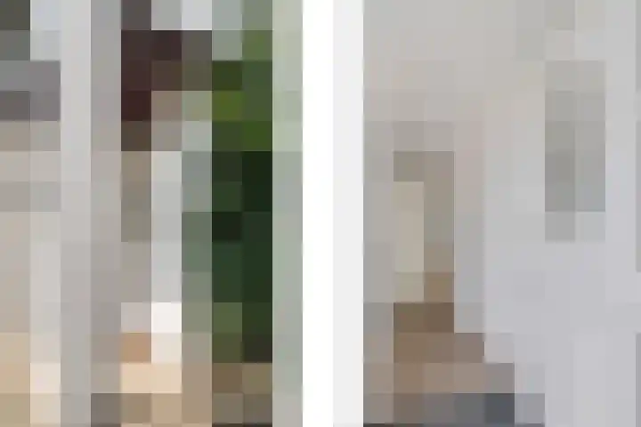 Appiushof 164 Maastricht thumbnail 6