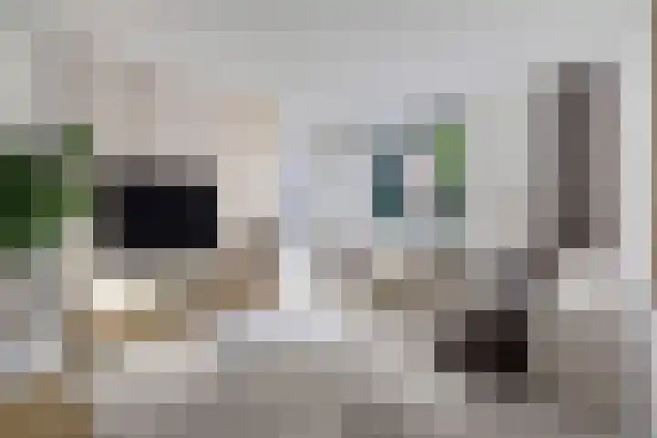 Appiushof 164 Maastricht thumbnail 9
