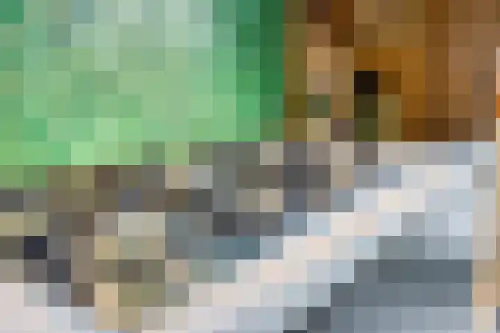 Aquamarijn 11 Zevenbergen thumbnail 22