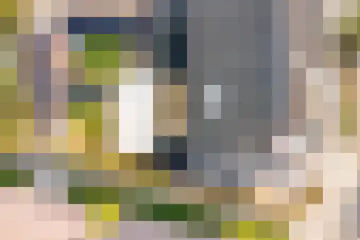 Aquamarijn 11 Zevenbergen thumbnail 53