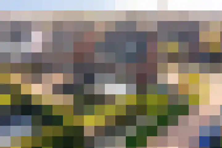 Aquamarijn 11 Zevenbergen thumbnail 55