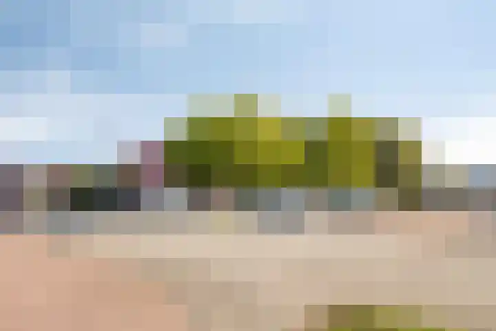 Aquamarijn 11 Zevenbergen thumbnail 59