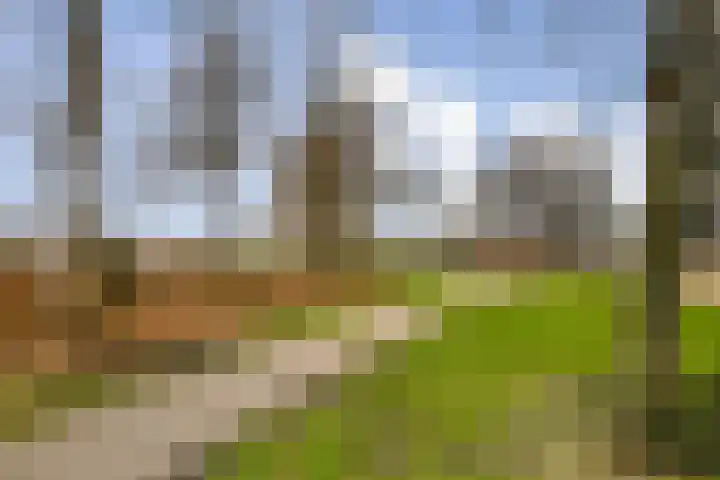 Aquamarijn 129 Alphen aan den Rijn thumbnail 31