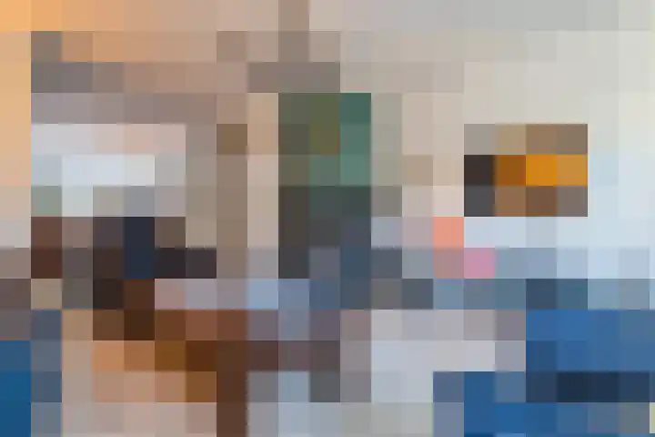 Aquamarijn 19 Venlo thumbnail 10