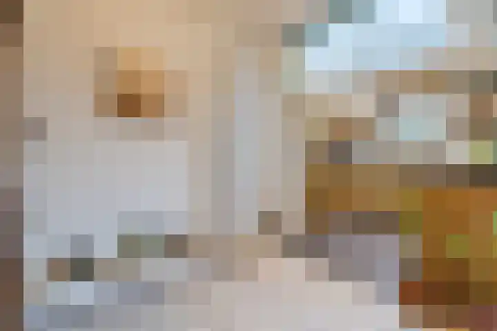 Aquamarijn 19 Venlo thumbnail 18