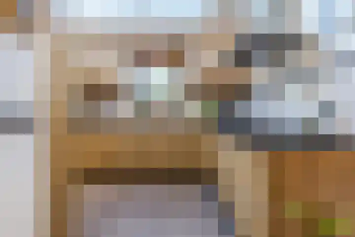 Aquamarijn 19 Venlo thumbnail 19