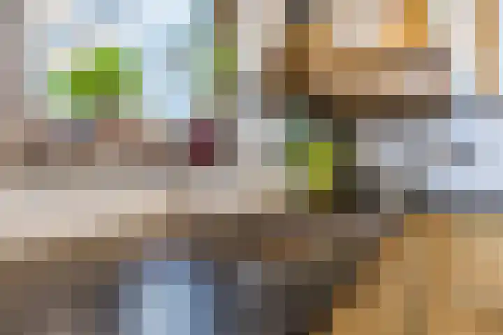 Aquamarijn 19 Venlo thumbnail 22