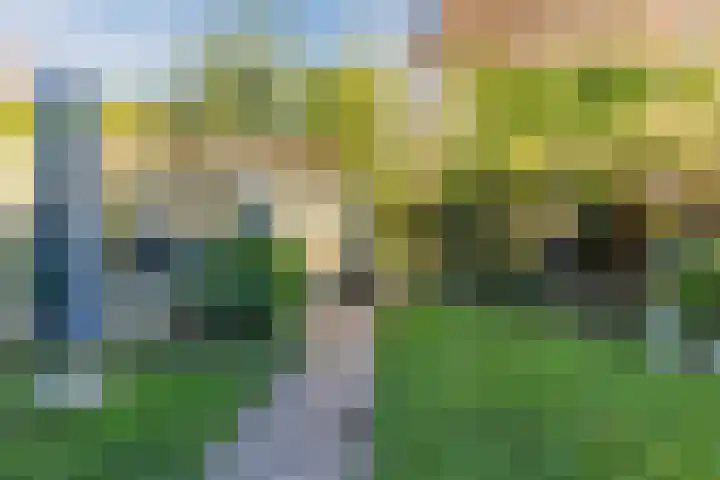 Aquamarijn 19 Venlo thumbnail 47