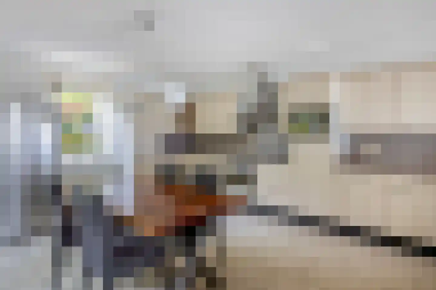 Aquamarijn 2 Krimpen aan den IJssel thumbnail 17