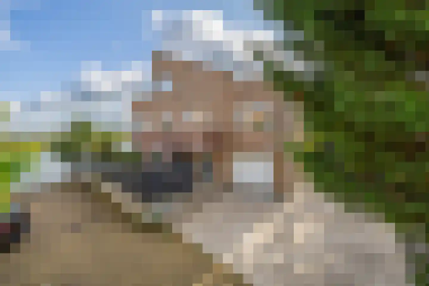 Aquamarijn 2 Krimpen aan den IJssel thumbnail 4
