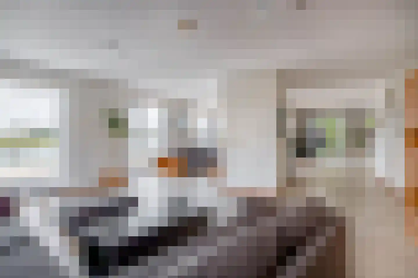 Aquamarijn 2 Krimpen aan den IJssel thumbnail 5