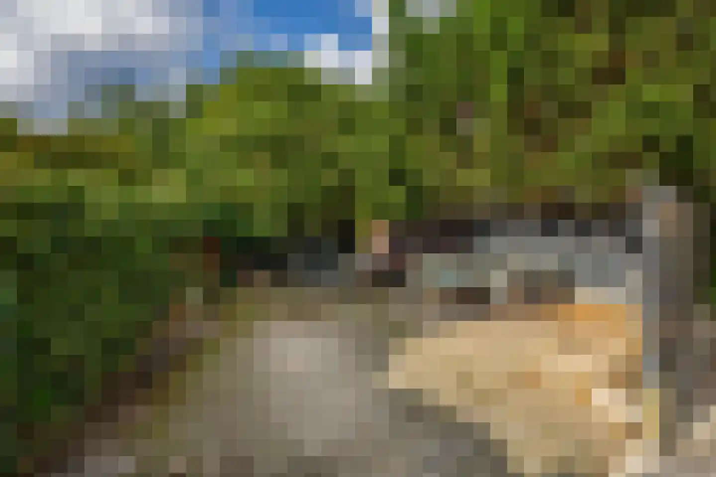 Aquamarijn 2 Krimpen aan den IJssel thumbnail 65