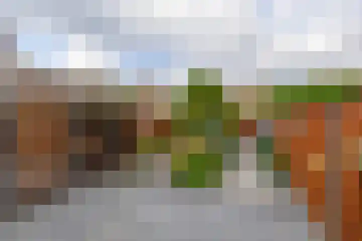Aquamarijn 20 Venlo thumbnail 20