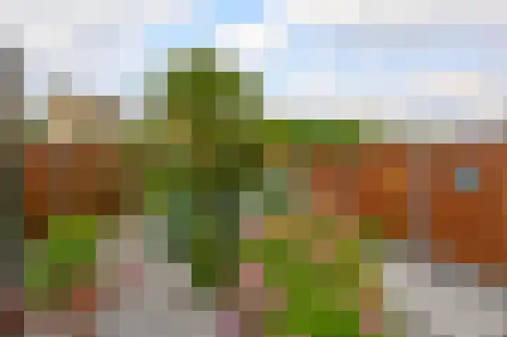 Aquamarijn 20 Venlo thumbnail 21