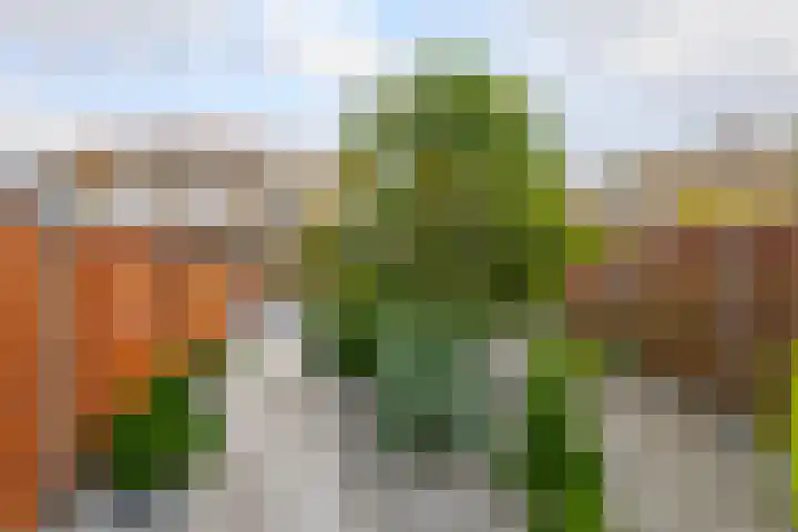 Aquamarijn 20 Venlo thumbnail 22