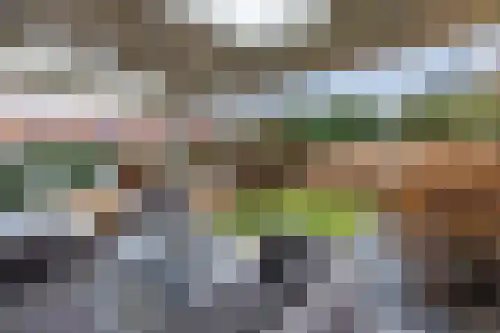 Aquamarijn 22 Zevenbergen thumbnail 35