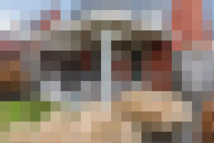 Aquamarijn 22 Zevenbergen thumbnail 37