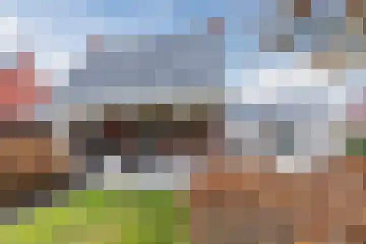 Aquamarijn 22 Zevenbergen thumbnail 5