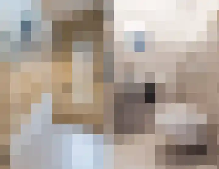 Aquamarijn 22 Zevenbergen thumbnail 8
