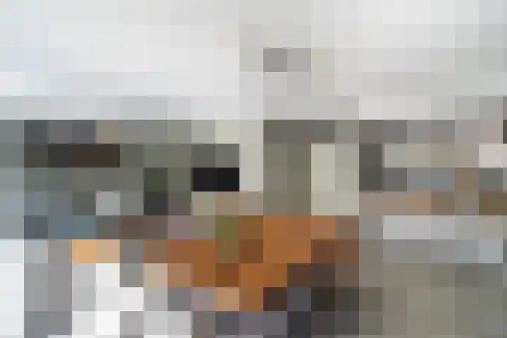 Aquamarijn 23 Zoetermeer thumbnail 11