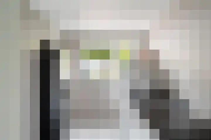 Aquamarijn 23 Zoetermeer thumbnail 15