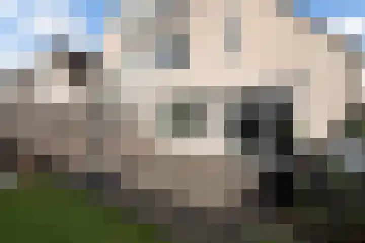 Aquamarijn 23 Zoetermeer thumbnail 24