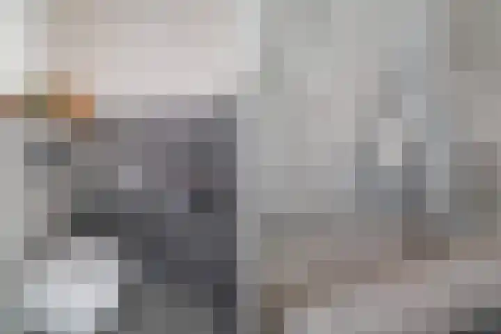 Aquamarijn 23 Zoetermeer thumbnail 26
