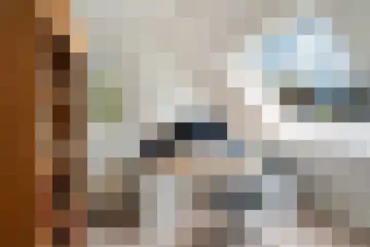 Aquamarijn 23 Zoetermeer thumbnail 33