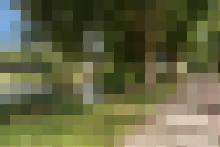 Aquamarijn 23 Zoetermeer thumbnail 50