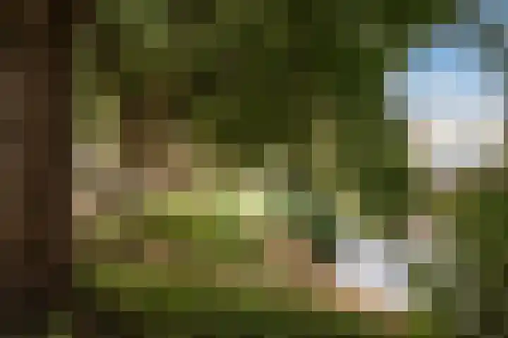 Aquamarijn 23 Zoetermeer thumbnail 51