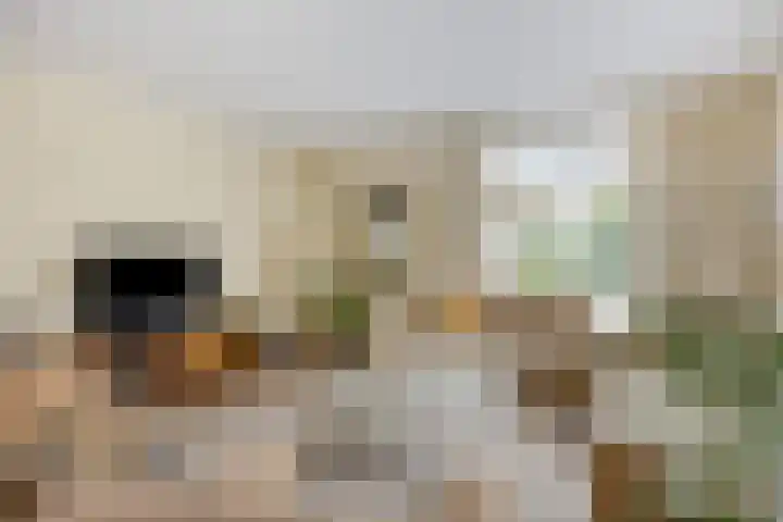 Aquamarijn 4 Eindhoven thumbnail 14