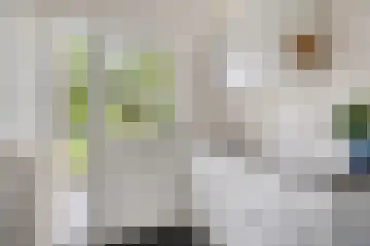 Aquamarijn 4 Eindhoven thumbnail 27