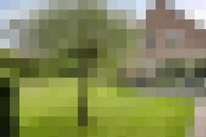 Aquamarijn 4 Eindhoven thumbnail 55