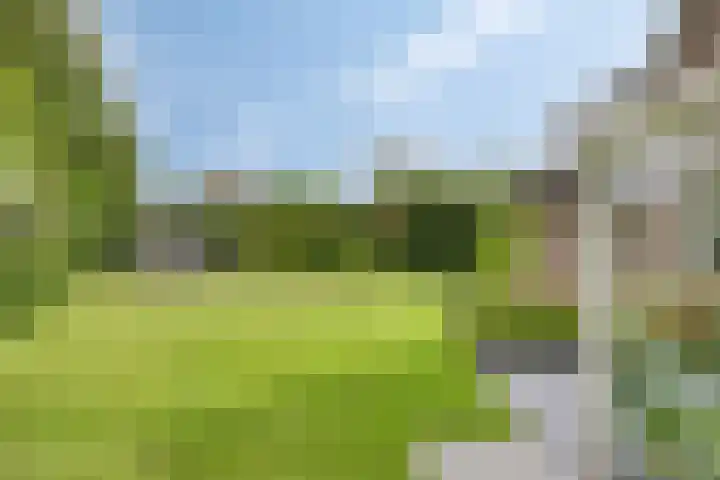 Aquamarijn 4 Eindhoven thumbnail 57