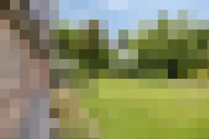 Aquamarijn 4 Eindhoven thumbnail 58