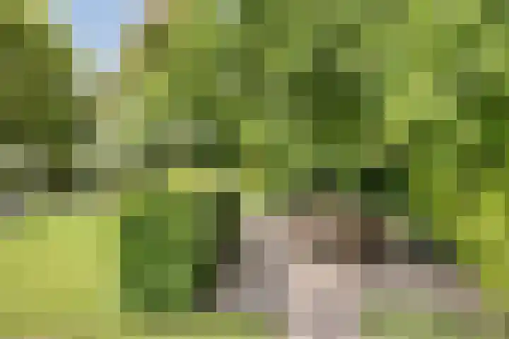 Aquamarijn 4 Eindhoven thumbnail 59