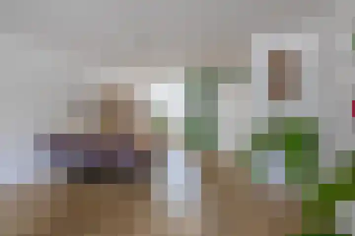Aquamarijn 55 Zevenbergen thumbnail 15