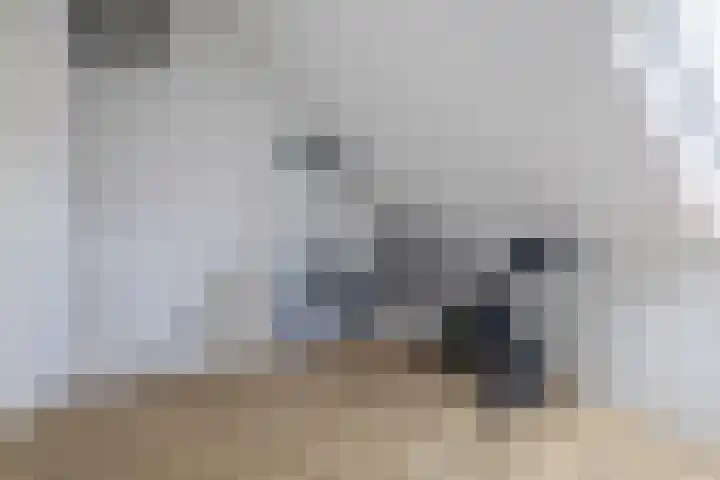 Aquamarijn 55 Zevenbergen thumbnail 35
