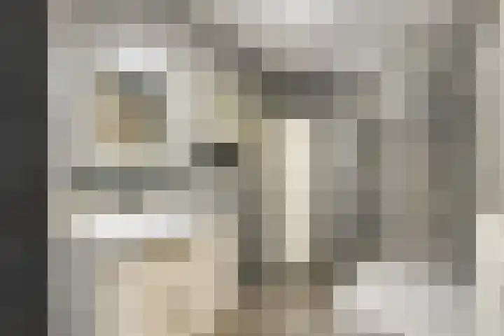 Aquamarijn 6 Alphen aan den Rijn thumbnail 20