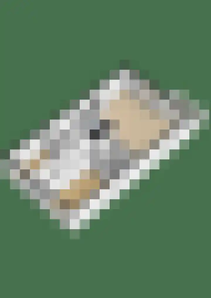 Aquamarijn 6 Alphen aan den Rijn thumbnail 37