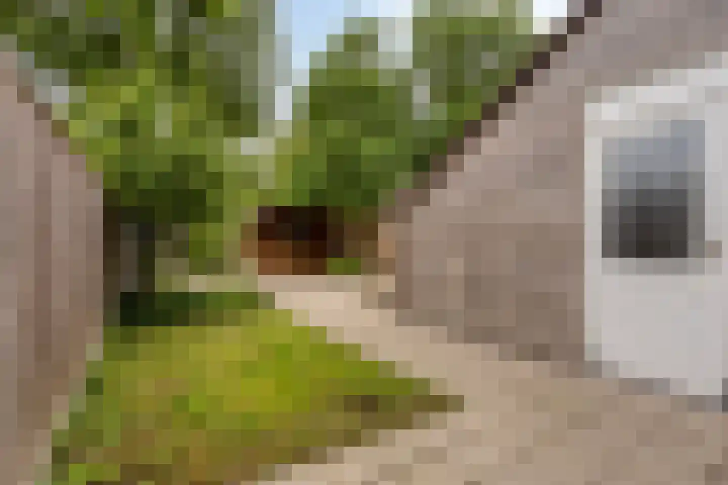 Aquamarijn 70 Heerhugowaard thumbnail 5