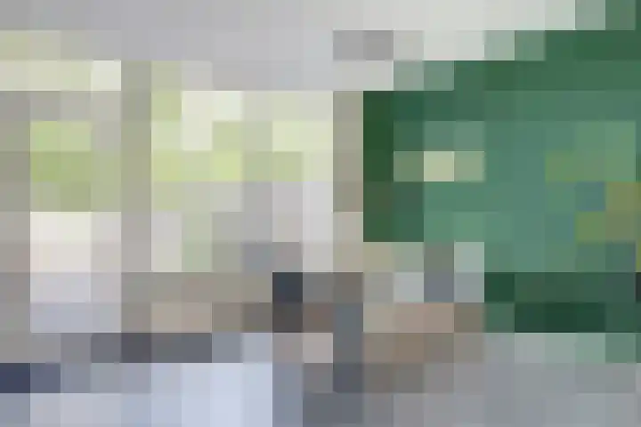Aquamarijn 72 Heerhugowaard thumbnail 10